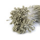 Artificial flower pistils / stamens - Cream lightest (30 Bunches) Artificial flower pistils / stamens - Cream lightest (30 Bunches)