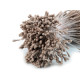 Artificial flower pistils / stamens - Cream lightest (30 Bunches) Artificial flower pistils / stamens - Cream lightest (30 Bunches)