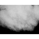 Hollow fiber pillow / pillow pes insert 30x50 cm 350 g - White (2 Pieces) Hollow fiber pillow / pillow pes insert 30x50 cm 350 g - White (2 Pieces)