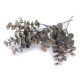 Feuilles d’eucalyptus artificielles - Gris-vert (28 Pièces) Feuilles d’eucalyptus artificielles - Gris-vert (28 Pièces)