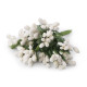 Floral / florist pistils on wire - Cream lightest (12 Pieces) Floral / florist pistils on wire - Cream lightest (12 Pieces)