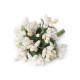 Floral / florist pistils on wire - Cream lightest (12 Pieces) Floral / florist pistils on wire - Cream lightest (12 Pieces)