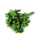 Floral / florist pistils on wire - Cream lightest (12 Pieces) Floral / florist pistils on wire - Cream lightest (12 Pieces)