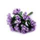 Floral / florist pistils on wire - Cream lightest (12 Pieces) Floral / florist pistils on wire - Cream lightest (12 Pieces)