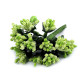 Floral / florist pistils on wire - Cream lightest (12 Pieces) Floral / florist pistils on wire - Cream lightest (12 Pieces)