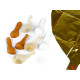 Party balloons - Powder (1 Set)