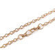 Bag / purse metal chain with lobster clasp length 120 cm - Nickel (1 Piece) Bag / purse metal chain with lobster clasp length 120 cm - Nickel (1 Piece)