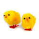 Decorative easter chicks - Yellow (12 Pieces)