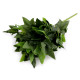 Artificial hanging plants - ivy - Green (5 Pieces)