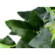 Artificial hanging plants - ivy - Green (5 Pieces)