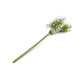 Artificial baby's breath plant flower - White (20 Pieces)
