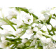 Artificial baby's breath plant flower - White (20 Pieces)