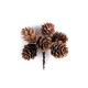 Pine cones on wire - Natural brown (120 Pieces)