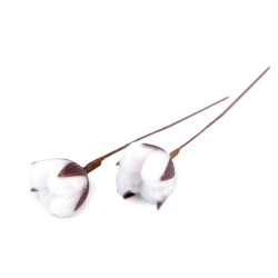 Artificial cotton flower - White (2 Pieces)