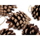 Decorative pine cones to hang - Brown (6 Pieces)