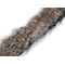 Bordure décorative en fourrure, à coudre, plate, coupée, largeur 5 cm - Beige (1 Pièce)