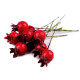 Baies d’églantier artificielles pour arrangements - Rouge (30 Pièces) Baies d’églantier artificielles pour arrangements - Rouge (30 Pièces)