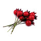 Baies d’églantier artificielles pour arrangements - Rouge (30 Pièces) Baies d’églantier artificielles pour arrangements - Rouge (30 Pièces)