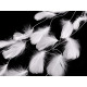 Feathers on a string / garland - White (9 Meters) Feathers on a string / garland - White (9 Meters)