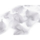 Feathers on a string / garland - White (9 Meters) Feathers on a string / garland - White (9 Meters)
