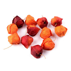 Artificial cape gooseberry - Orange (12 Pieces)