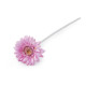 Gerbera sztuczna - Kremowyjasny (3 Sztuki)