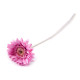 Gerbera sztuczna - Kremowyjasny (3 Sztuki)