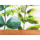 Cotton fabric / canvas - leaves - Green (1 Meter)