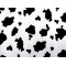 Animal print / imitation cow fur - White (1 Meter)