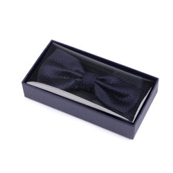 Conjunto de pajarita y pañuelo de bolsillo - Azul oscuro (1 Caja)
