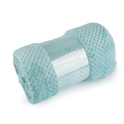 Blanket microflannel structured 150x200 cm - Sage green, light (1 Piece)