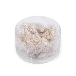 Stabilizowany / preparowany mech 20 g w pudełeczku - Naturalny biały (1 Sztuka)