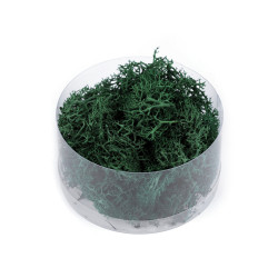 Stabilizowany / preparowany mech 20 g w pudełeczku - Zielony ciemny (1 Sztuka)