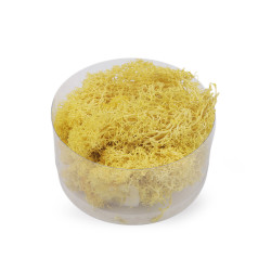 Stabilizowany / preparowany mech 20 g w pudełeczku - Żółty jasny (1 Sztuka)