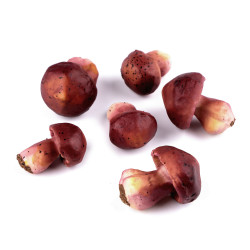 Artificial mushrooms - Red-brown (1 Bag)