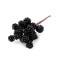 Alambre de moras y frambuesas artificiales - Negro (1 Manojo)