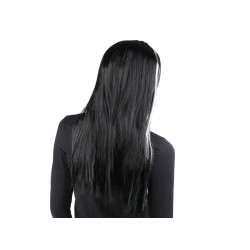 Carnival /party wig - Black (1 Piece)
