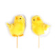 Easter chick picks  / spring chick on stick - Yellow (2 Pieces)