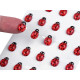 Self-adhesive ladybugs on an adhesive strip - Red (1 Card) Self-adhesive ladybugs on an adhesive strip - Red (1 Card)