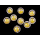 Grzechotka okrągła ø25 mm - Transparent (200 Sztuki) Grzechotka okrągła ø25 mm - Transparent (200 Sztuki)