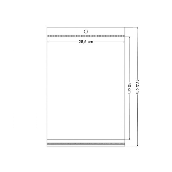 Torby foliowe zamykane z paskiem klejącym i zawieszką 26,5x40 cm - Transparent (100 Sztuki)