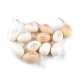 Hanging easter eggs - Natural light (12 Pieces)