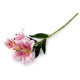 Artificial lily - Cream lightest (3 Pieces)