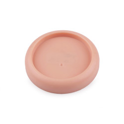 Magnetic needles and pins holder - Powder-salmon (1 Piece)