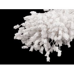 Flower pistils - White (1 Bunch)