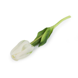 Artificial tulip - White (1 Piece)