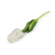 Artificial tulip - White (5 Pieces) Artificial tulip - White (5 Pieces)