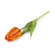 Artificial tulip - White (5 Pieces) Artificial tulip - White (5 Pieces)