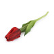 Artificial tulip - White (5 Pieces) Artificial tulip - White (5 Pieces)