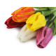Artificial tulip - White (5 Pieces) Artificial tulip - White (5 Pieces)